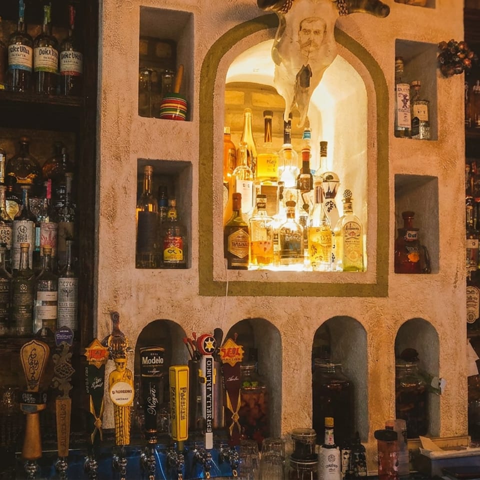 Warmly lit bar interior displaying shelves of liquor bottles, illuminated bottle niches, beer taps, and a mounted animal skull.